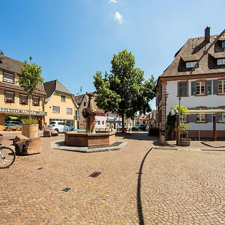 Holiday Flat In Herbolzheim Near Europa-Park, Cleaning Included דירה *
