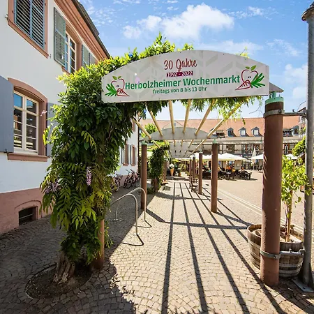 דירה Holiday Flat In Herbolzheim Near Europa-Park, Cleaning Included הרבולצהיים